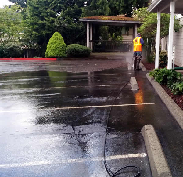 Brick Paver Cleaning